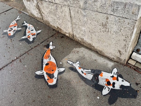 An image of four swimming koi in black, white, and orange is painted on a wet sidewalk next to a cultured stone wall. The sidewalk and painted carp are speckled with yellow and brown leaf debris.