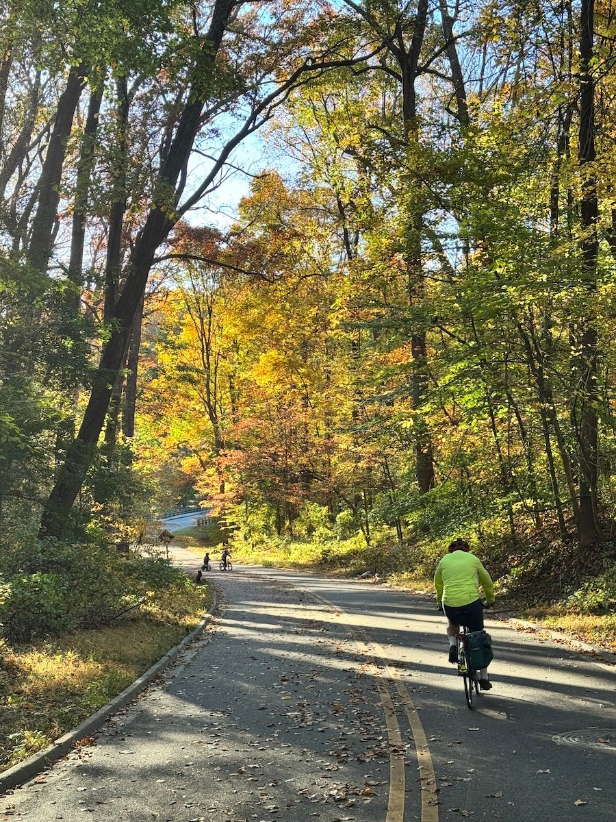 A winding street in a colorful park.