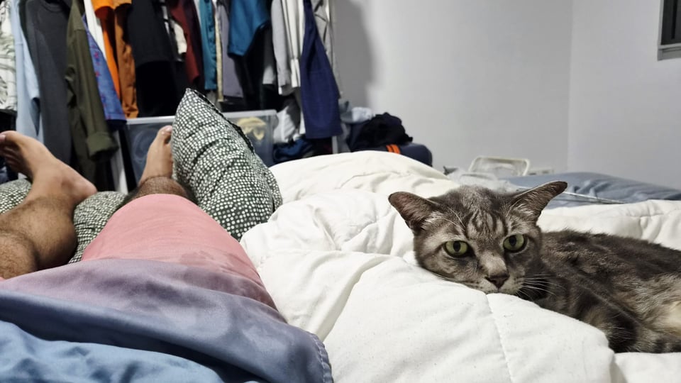 A photo of a grey cat, lying on a white blanket, next to my legs. In the background are clothes in an open cupboard.