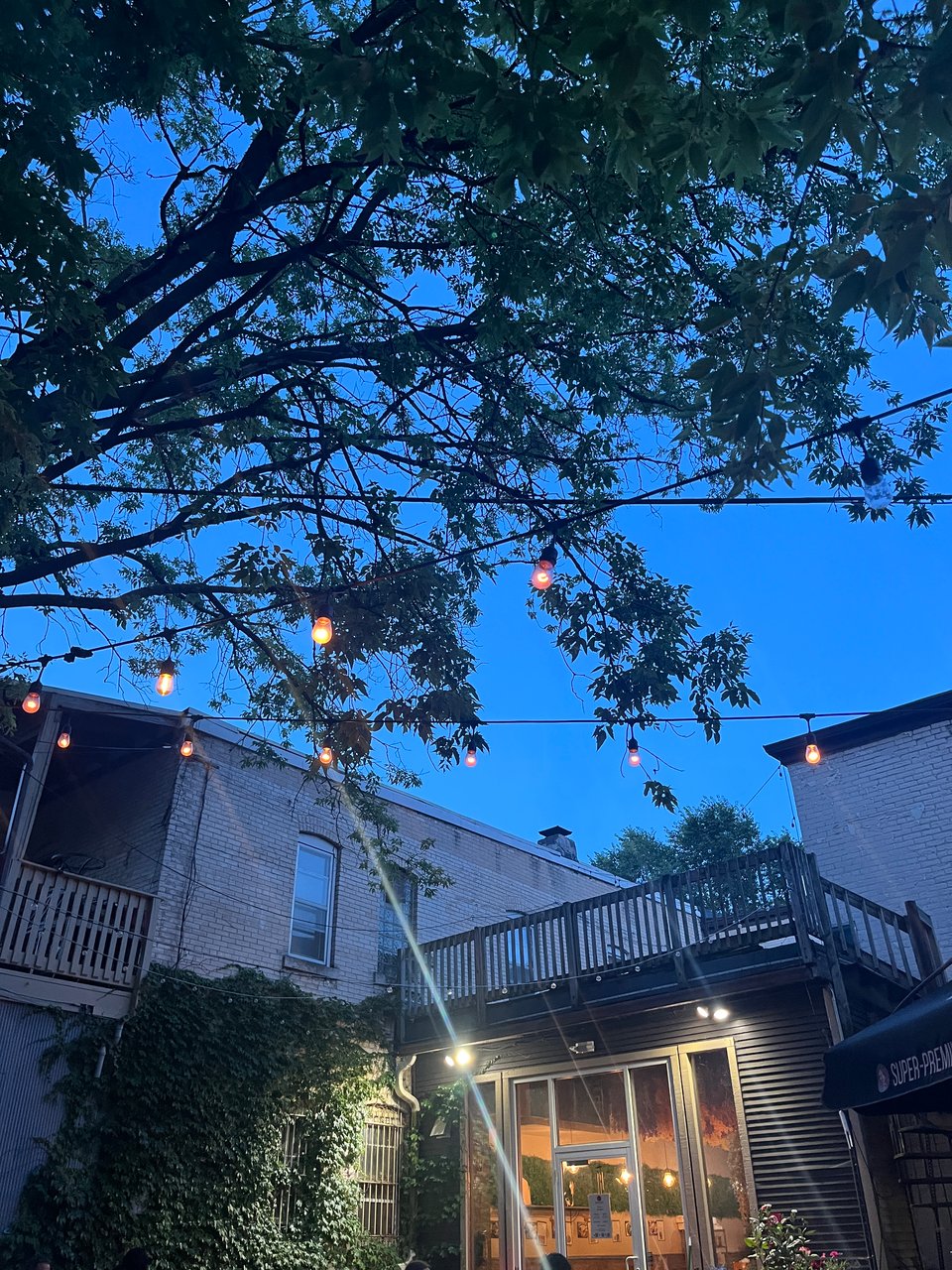 Chocolate Shoppe patio after dusk with hanging fairy lights against pale break walls, wooden balconies, tree branches and dark green ivy