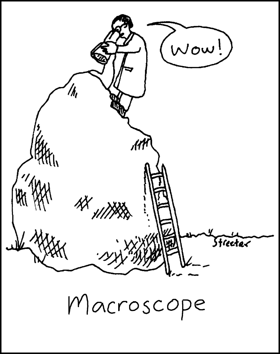 Cartoon in which a scientist looks at a giant rock up close through a Macroscope