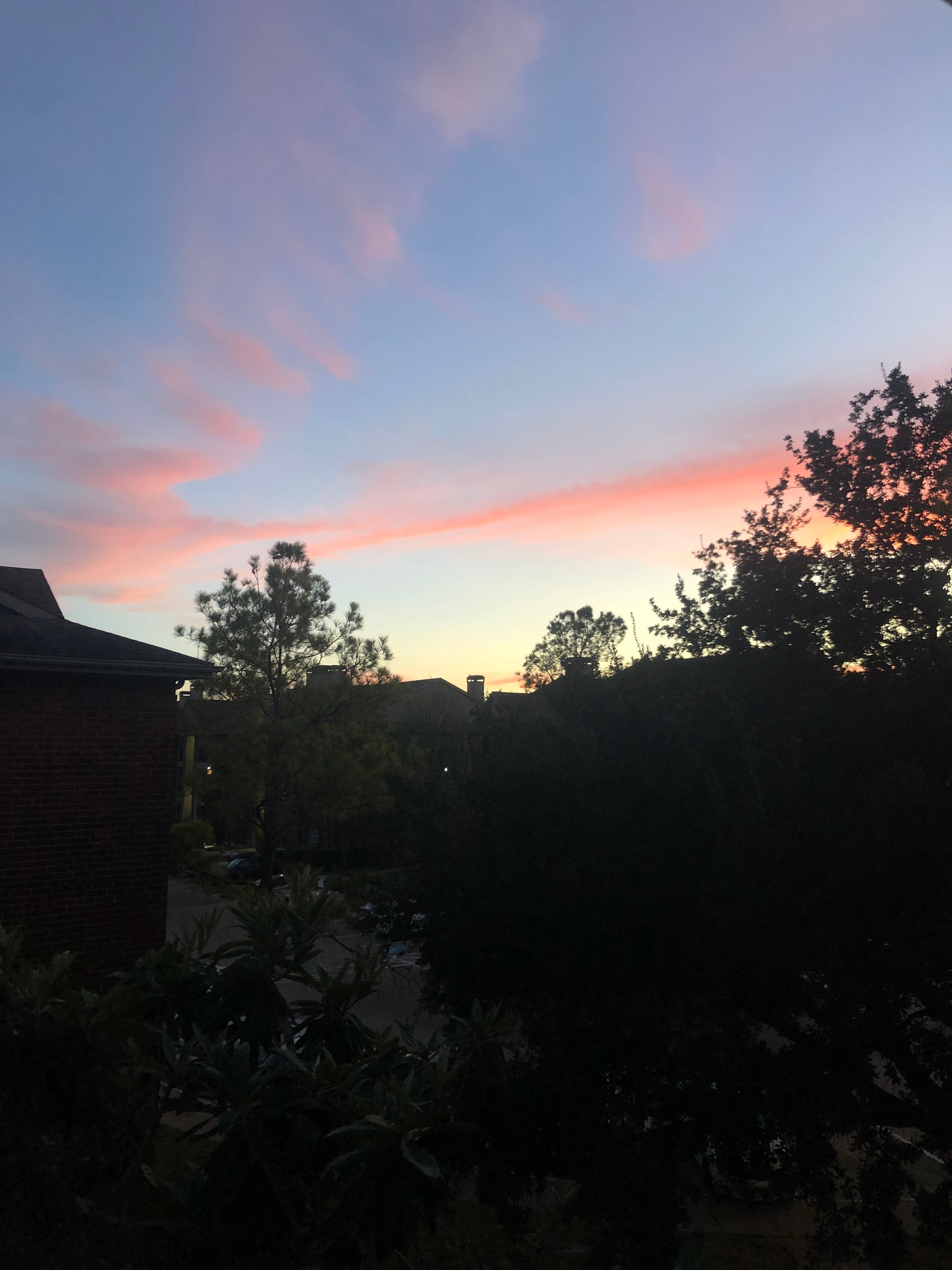 Poetically Powered Newsletter, Welcome to the land of holy shit, can we create?