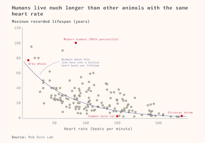 Screenshot 2026-02-13 at 13.42.31.png