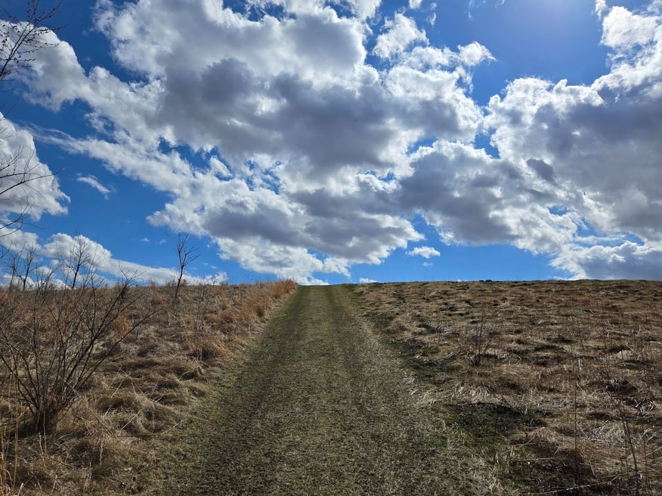 So many Frontenac State Park trails have beautiful summits. This one is on a trail in the new part of the park off County Road 2 Blvd. Like all park areas subjected to prescribed burns in April, it will become verdant as May proceeds. / Photo by Pamela Miller