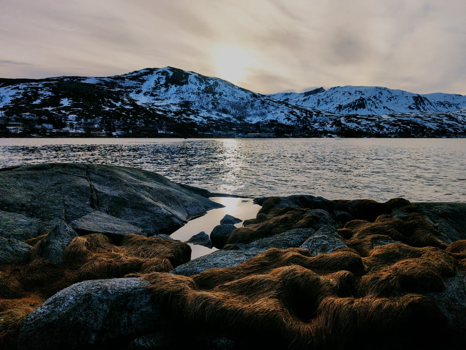 The sun is behind a snow-covered mountain, and a line of sunlight reflects on a body of water between it and the foreground. The foreground is a rocky shoreline with grasses and a tidepool, where the line of light continues its reflection. The tidepool is still and looks like glass.