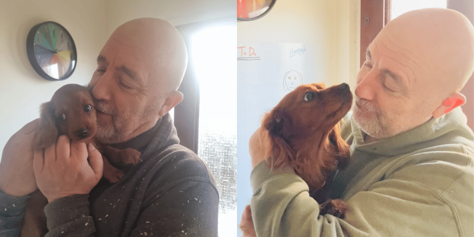 two images of a cavapoo puppy being kissed by a man