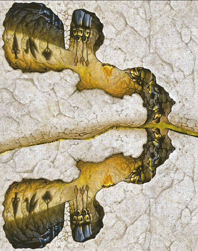 digitally manipulated image of canonical Plato's Cave in which there is no outside world.