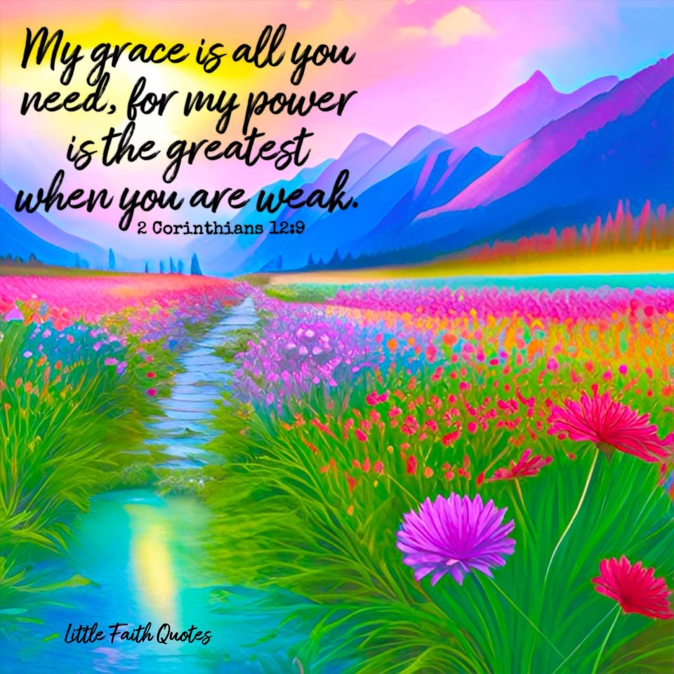 "But he said to me, “My grace is sufficient for you, for my power is made perfect in weakness.” ~2 Corinthians 12:9. A river runs through a beautiful meadow of pink, blue, and purple wildflowers. The sun sets in a pink and blue sky over the mountains. Image by: @Little Faith Quotes.