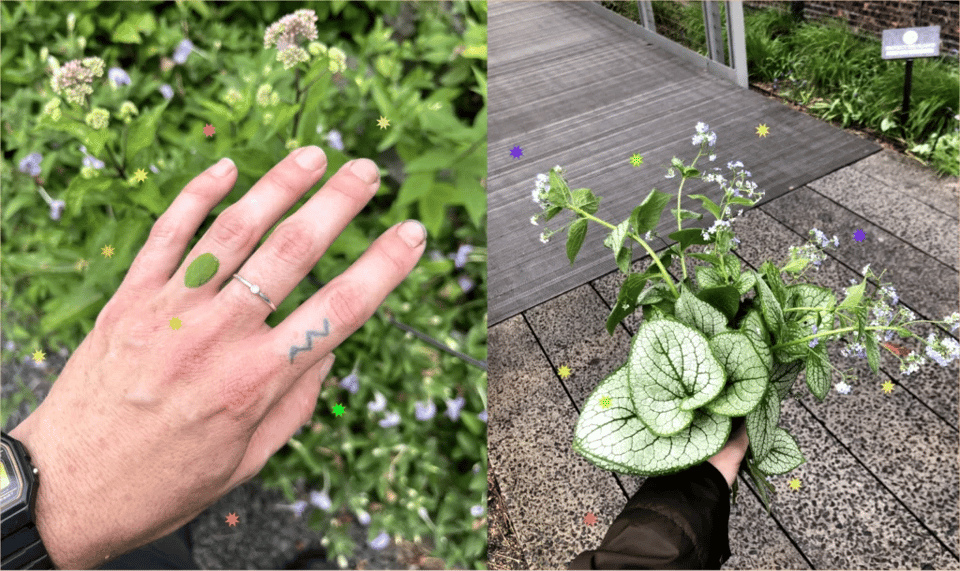 A diptych, on the left hand side a hand with a leaf on one finger extends in front of a garden in the background. In the right hand side, a bouquet of leaves and flowers.