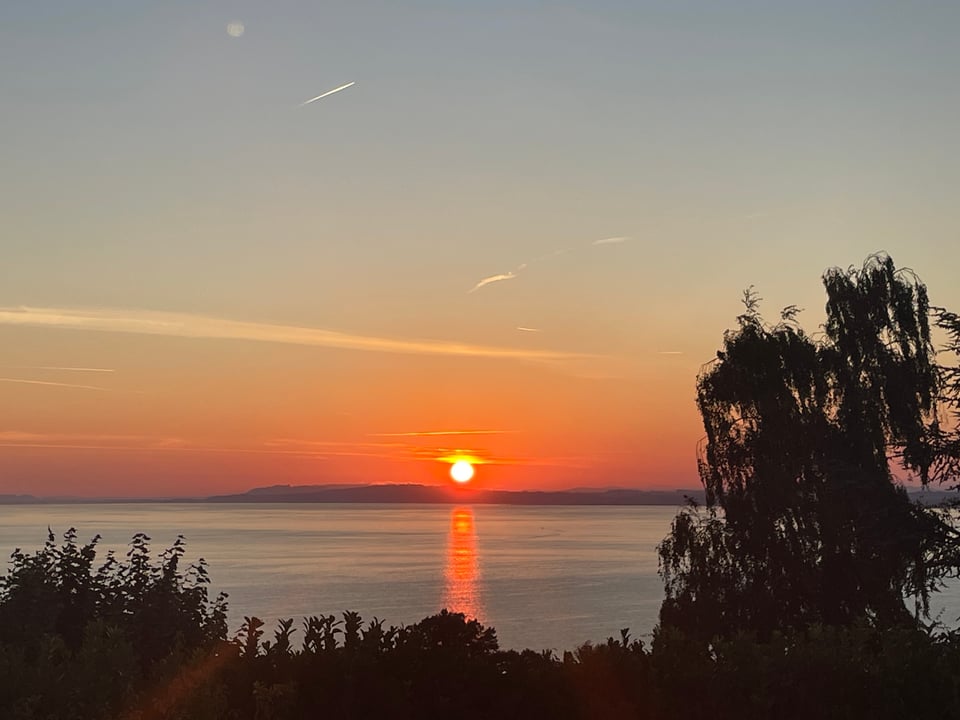 Sunrise over a lake with the garden in silhouette in the foreground.