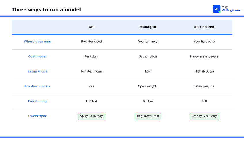 Should_You_Self_Host_LLM_Inference_Cost_and_Risk_Guide_77527644_5_chosen.png
