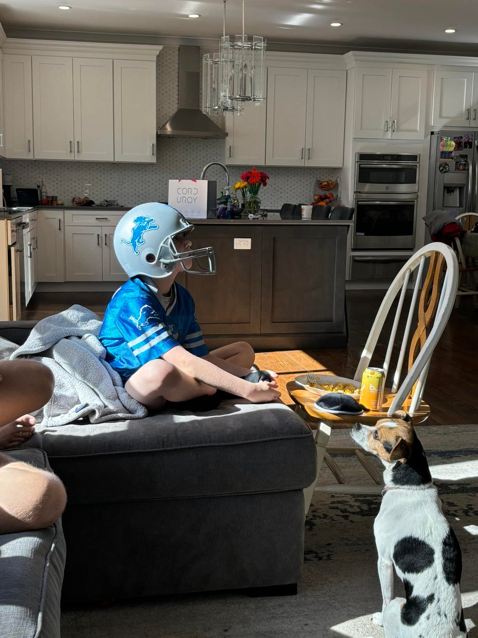 kid, dog, lions helmet
