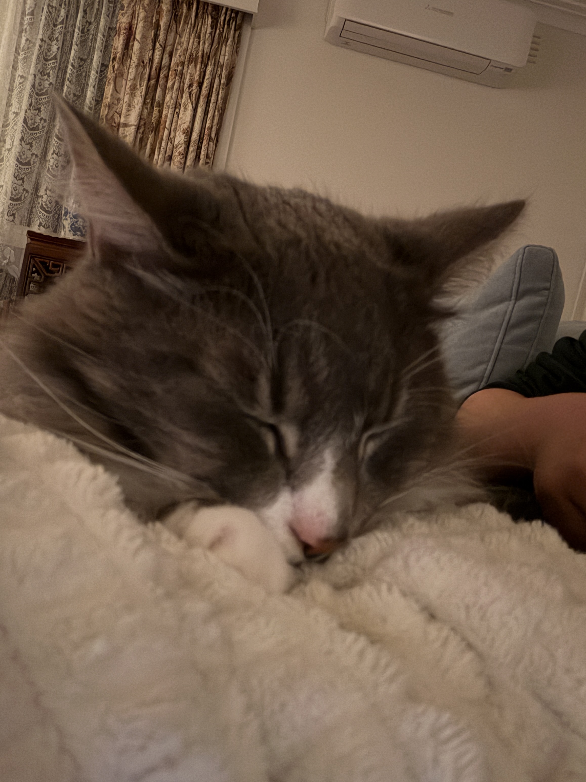 gandalf