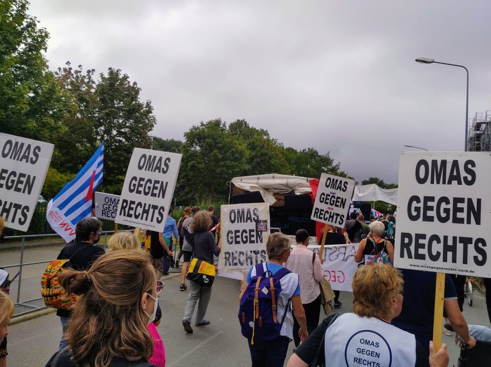 Kleiner Ausschnitt einer Demo. Es sind mehrere Menschen von hinten zu sehen, einige tragen Schilder mit der Aufschrift "Omas gegen Rechts".