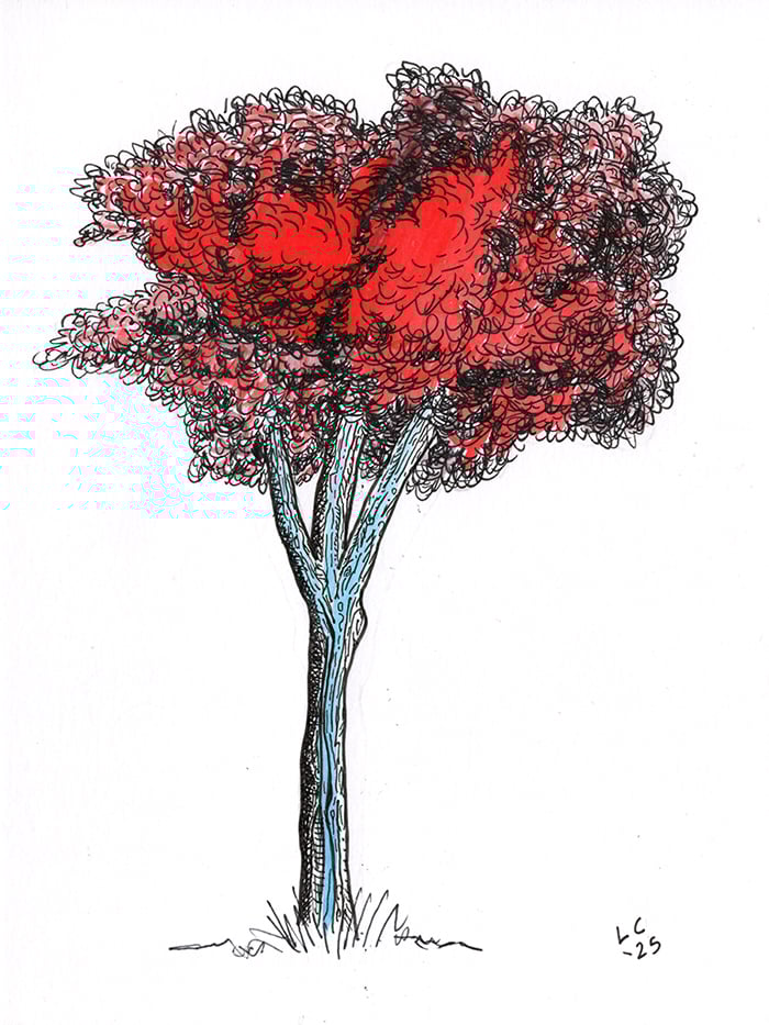 A pen and ink drawing of a tree, with light blue and red.