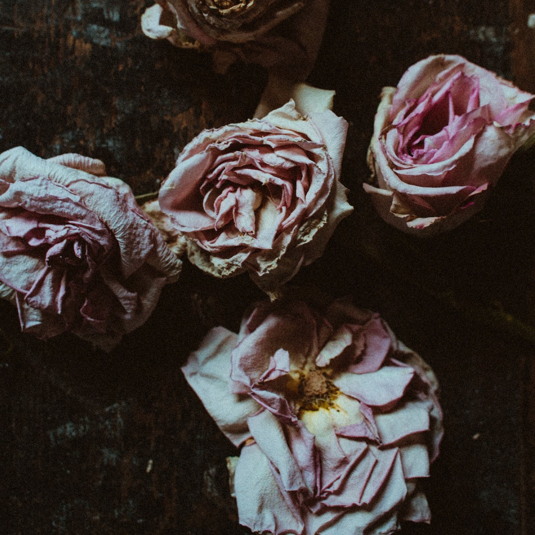 The Daughters of Frankenstein