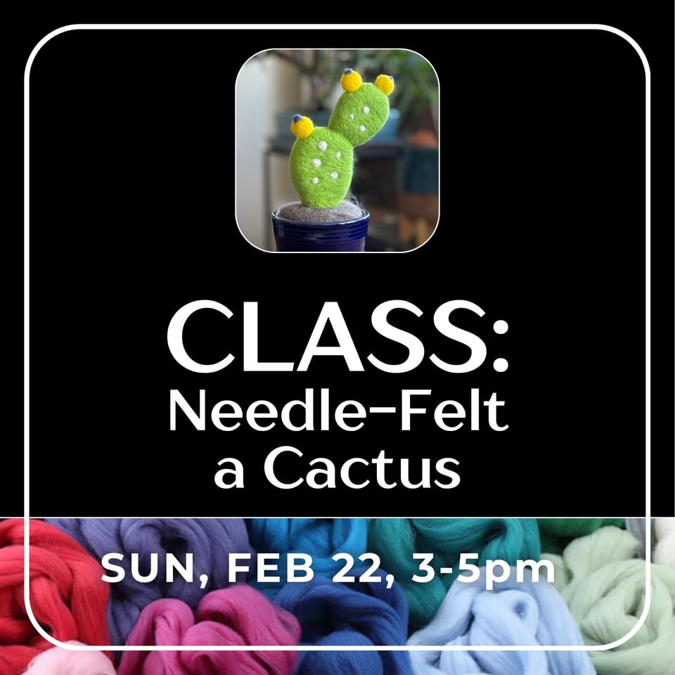 needle felt a cactus class graphic
