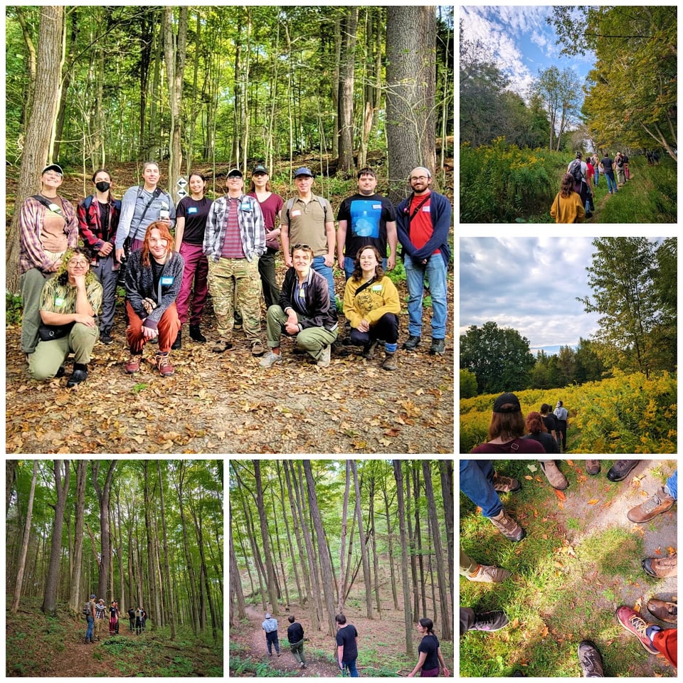 A few shots from our hike at Baltimore Woods nature center
