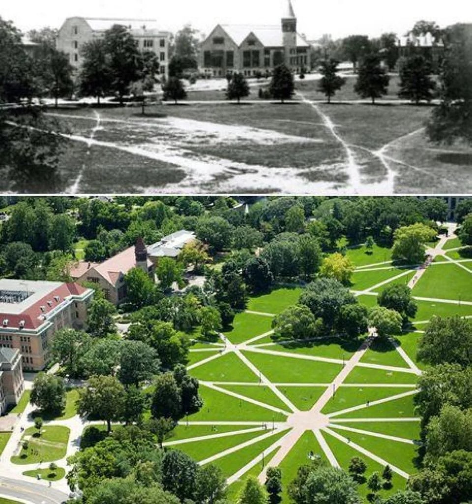 A birds eye view on how Ohio state university designed their paths based on how people naturally got across the campus, forming and intersting pattern