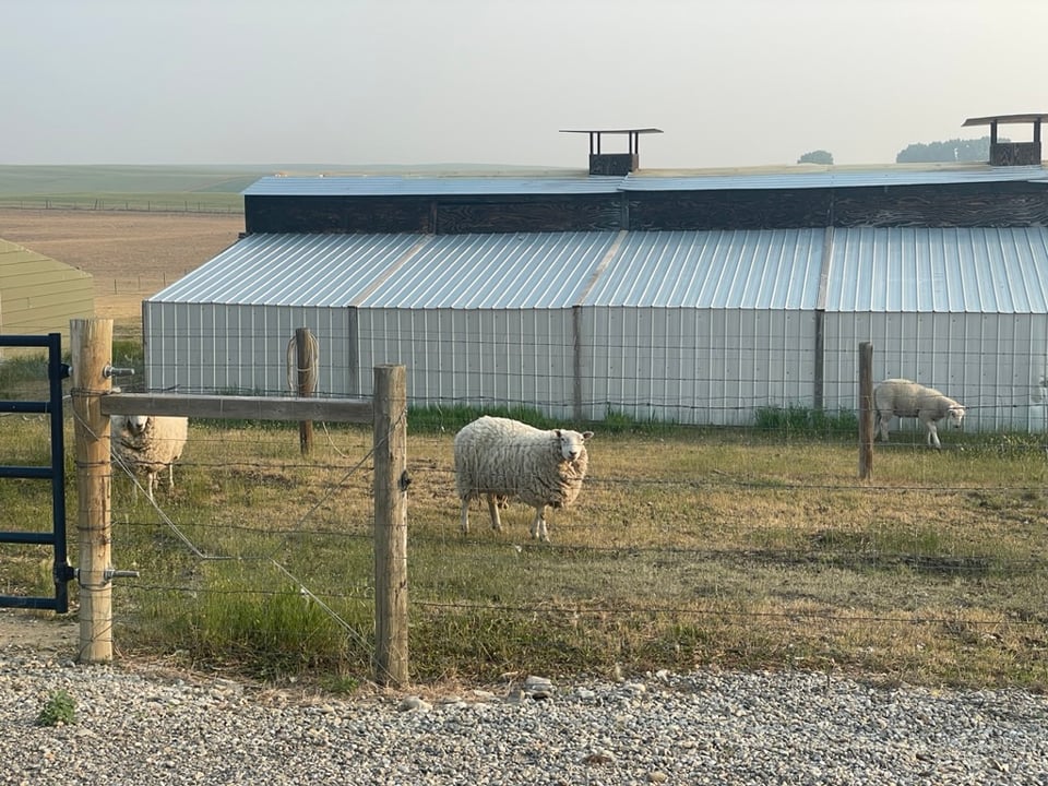 My neighbours during my retreat