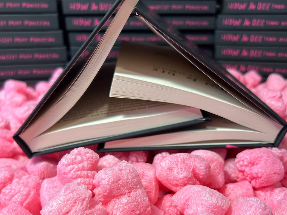 A photo of two books scissoring. The books are laying on a bed of pink styrofoam hearts.
