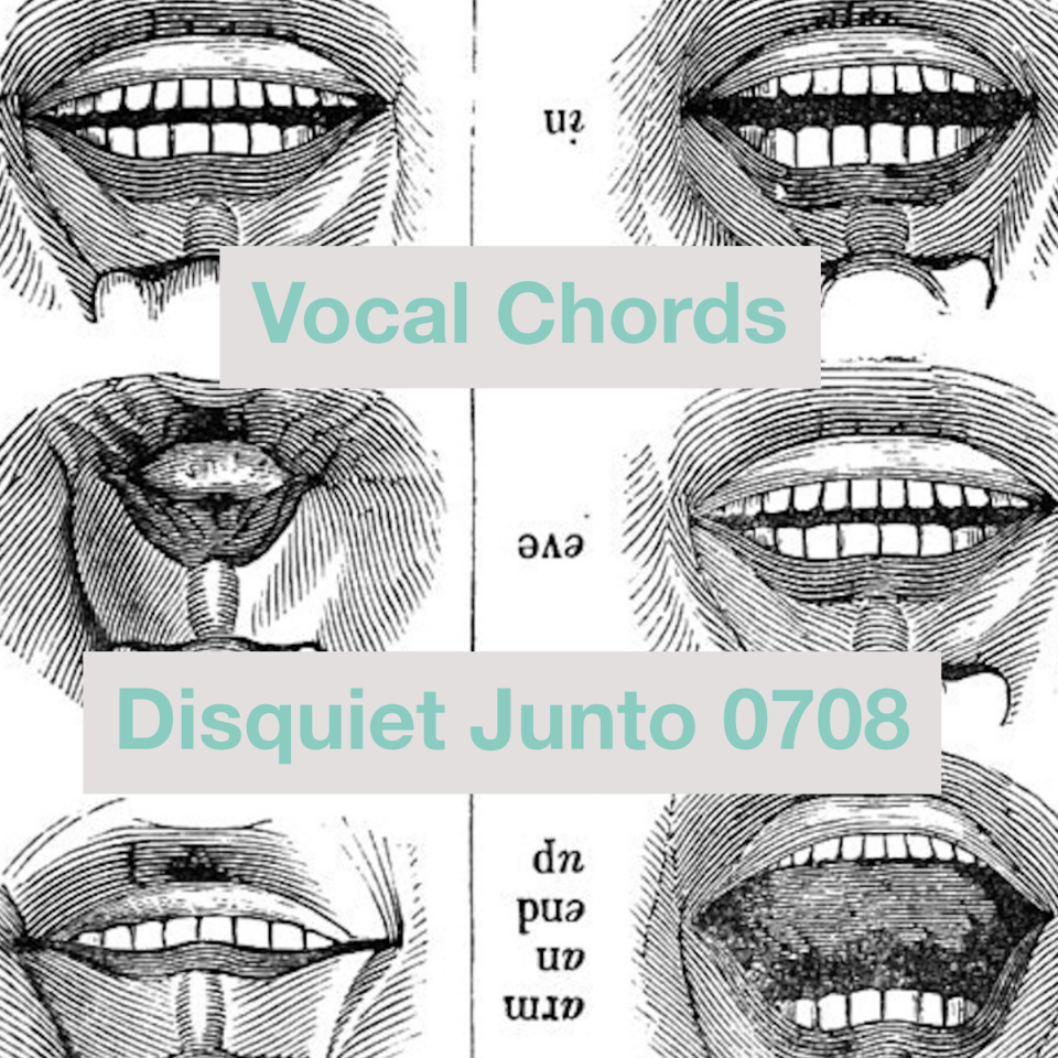 Line drawings of six mouths in a grid, plus the name and number of the project