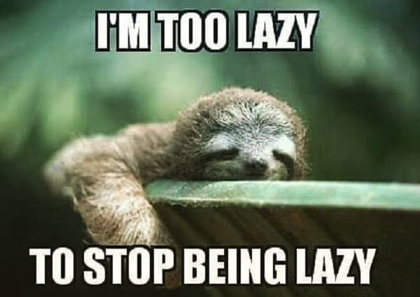 A picture of a sleeping sloth with the words "I'm too lazy to stop being lazy"