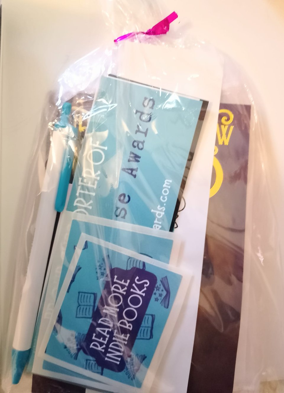 Image shows a transparent plastic bag filled with stickers, bookmarks, business cards, and art prints.