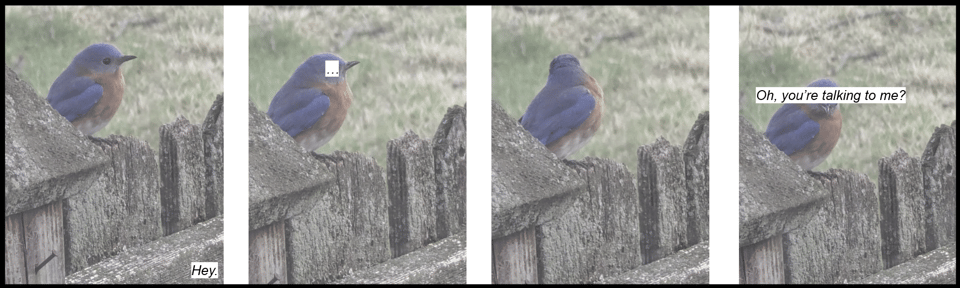 A four panel comic of a blue red bird on a fence. The first panel has the bird staring out with the text "Hey." in bottom right corner. In the second, an ellipses covers the bird's eyes. In the third, the bird looks back. In the forth, the bird looks foward and its eyes are covered with the text "Oh, you're talking to me?"
