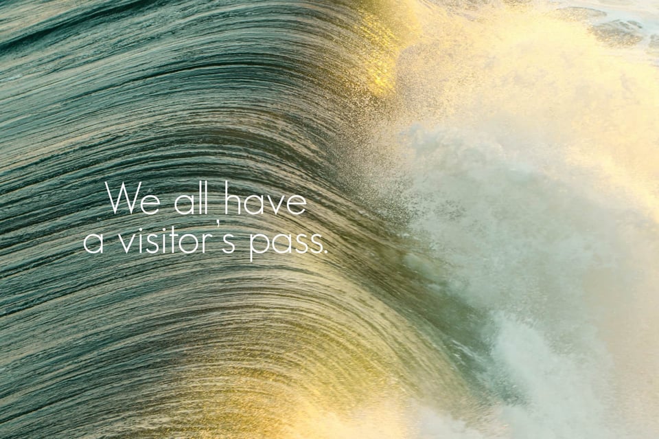 An ocean wave crashes as the sunset light glimmers from off photo. Caption reads "We all have a visitor's pass."