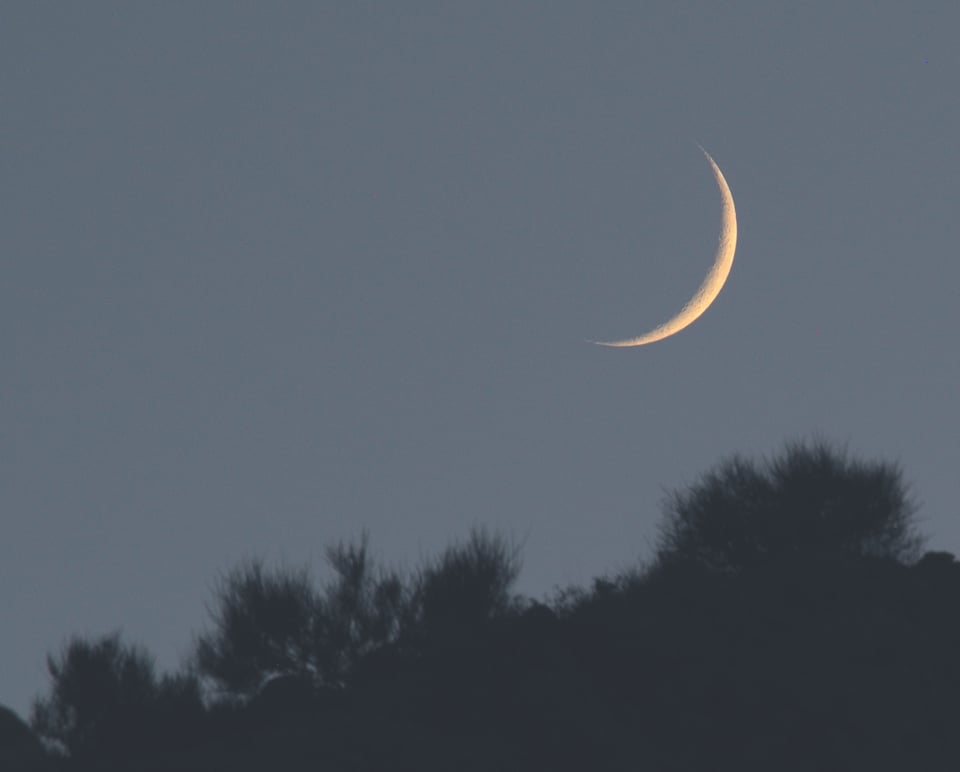 SF Climate Week, skeletons, and the best place to buy books