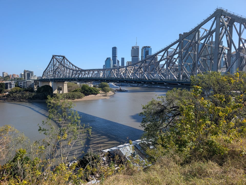 A beautiful bridge across the Brisbane river, with buildings in the background and foliage in the foreground