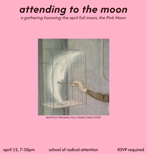 flyer for attending to the moon pink moon event
