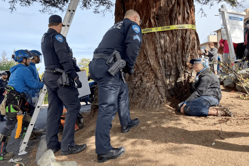 A protester speaks with police at the base of a coastal redwood scheduled for demolition in Edmonds, Washington. Photo: Kim Butler, KUOW