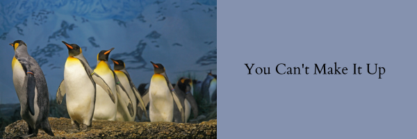 A group of penguins