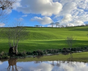 View over a canal with undulating green fields and trees on the horizon.