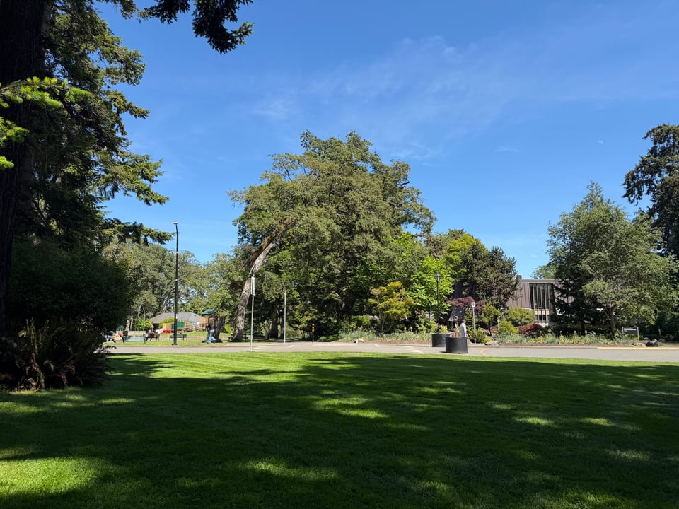 lush, green park view