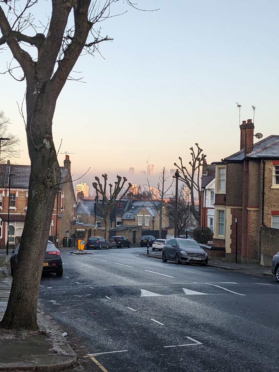 a south london street with heavily pollarded plane trees, in the distance some skyscrapers poke out of a low haze