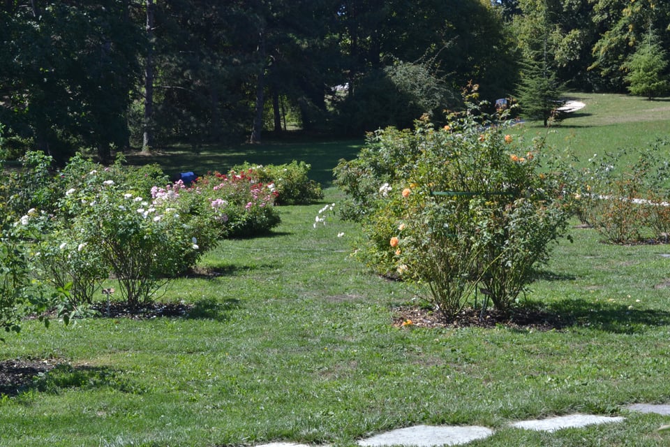 Demon Hunters and Space