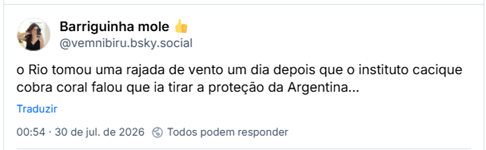 Post de Barriguinha mole 👍 (@vemnibiru.bsky.social): o Rio tomou uma rajada de vento um dia depois que o instituto cacique cobra coral falou que ia tirar a proteção da Argentina...