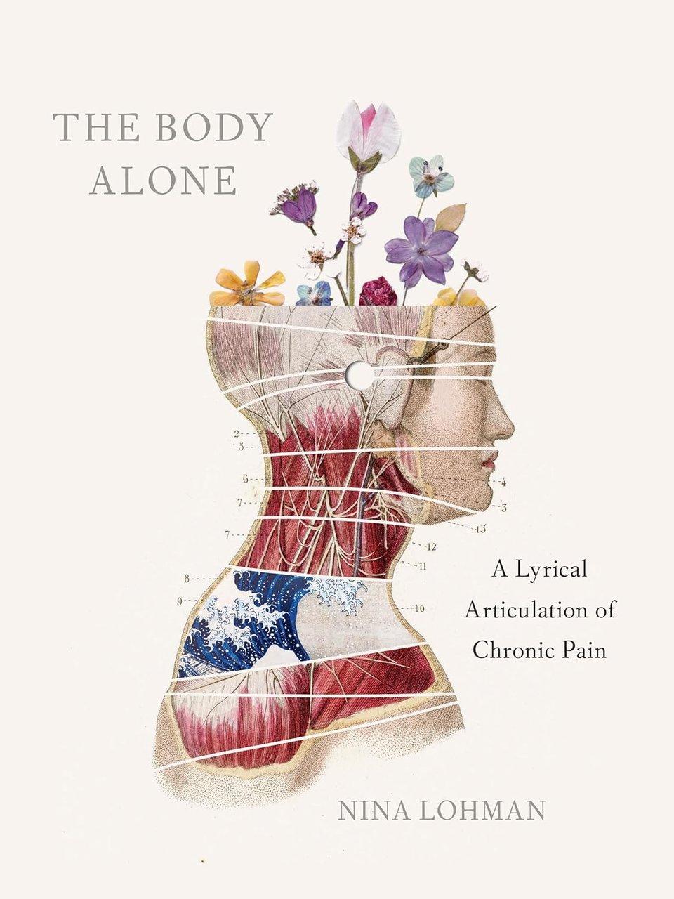 Altered image of a woman's head as a medical diagram, showing muscles as well as a portion of Hosukai's
