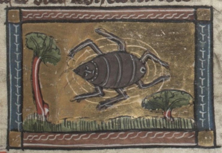 Copyedits, photos, tiny bugs