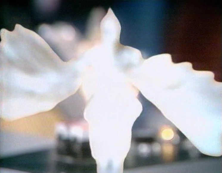 Kronos, the bird god of time, I guess