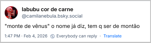 Post de labubu cor de carne (@camilanebula.bsky.social) com o texto: "monte de vênus" o nome já diz, tem q ser de montão