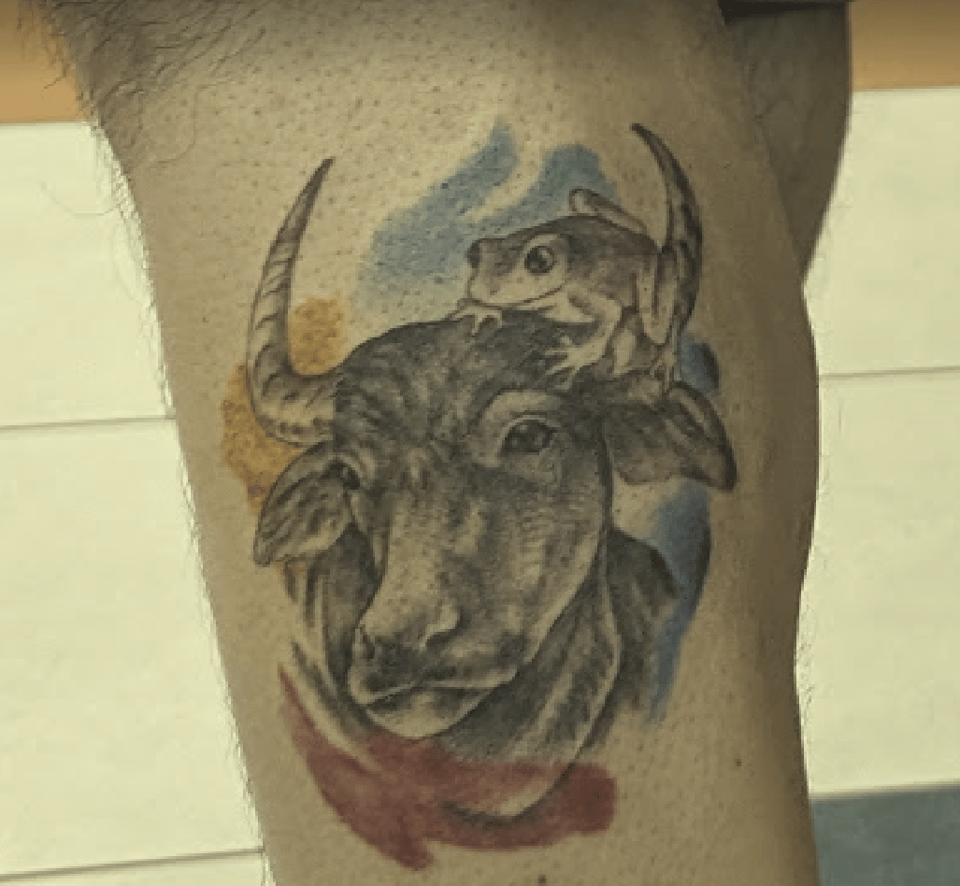 A coqui (frog) sitting on a carabou (ox) with blue, yellow, and red color auras.