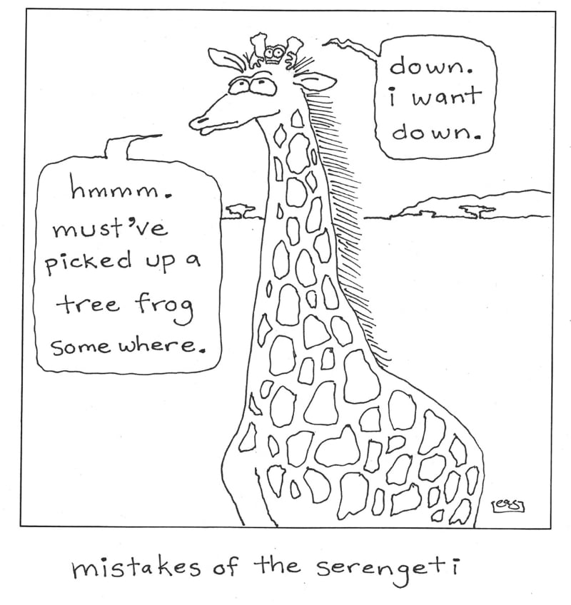 Cartoon of a frog caught on a giraffe's head with the caption "mistakes of the serengeti"