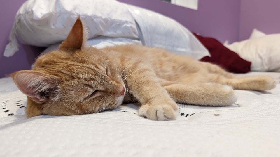 Saying Goodbye, Again