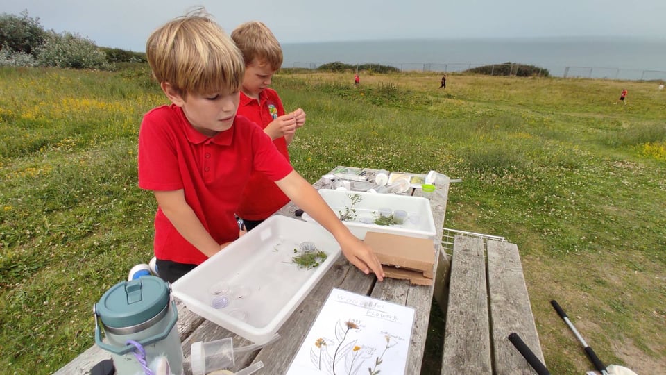 Two school children at wooden bench with specimen trays and grassland in the background