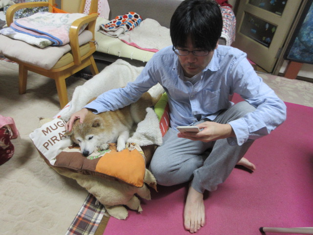 A person in a living room on their phone pets a sleeping dog