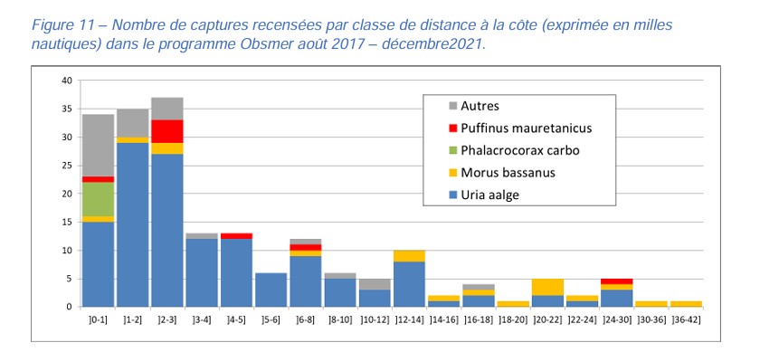 56% des oiseaux marins capturés par les engins de pêche le sont dans les trois milles nautiques. Le guillemot de Troïl est l'espèce prédominante à 90%. (source : Stéphanie Tachoires, Vincent Toison. Informations sur les captures accidentelles d’oiseaux marins dans les eaux françaises métropolitaines par les navires français. OFB. 2022, pp.32. hal-04412701 )